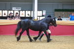SBM_16626