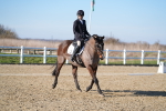 SBM_004305