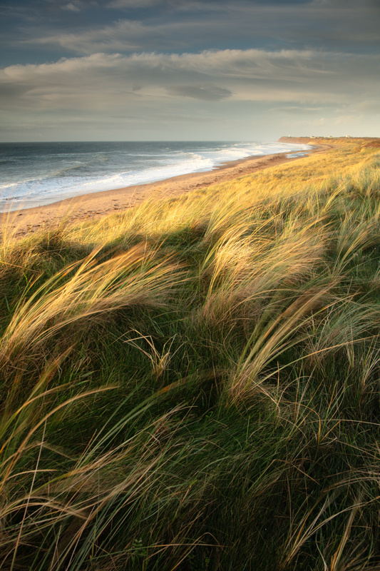 Breezy Day