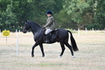 WJ7_5768