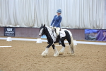 SBM_000225