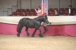 SBM_05497