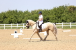 SBM_009065
