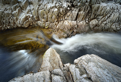 Freshwater 1 portfolio