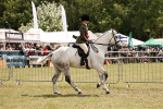 SBM_14803
