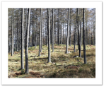 Poles Apart ♦ ATHOLL WOODS