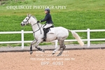 BPP_4081