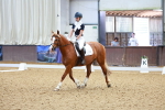SBM_007648