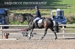 BPP_9381