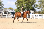 Class 410 - Grassroots Ridden - Horse portfolio