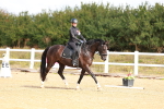SBM_009653