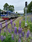 Norway Andalsnes Rauma Railway 20