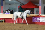 SBM_13538