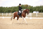 SBM_008768