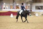 Class 51 - Dressage to music portfolio