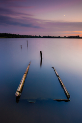 Selected images from the archive portfolio