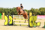 SBM_000848
