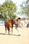 SBM_08453