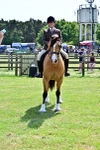 SBM_08153