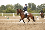 SBM_006673