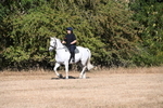 WJ6_6991