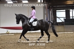 BPP_9308