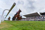 040726-Race 6-Highland Olly-2040