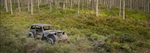 Rust in Peace