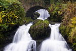 Rouken Glen waterfall, Glasgow - 2950