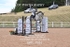 BPP_7951