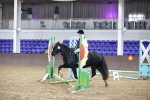 SBM_003229