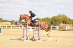 SBM_006653