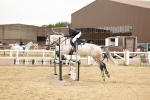 SBM_008942