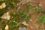 240121A-132958-00174