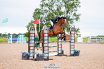 Cls 34-36 Children on Horses portfolio