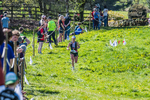 The Finish-592