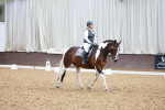SBM_011444