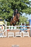 Cls 9 Foxhunter portfolio