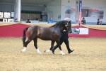 SBM_16689