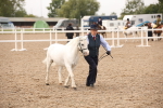 SBM_21484