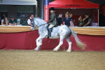 SBM_12603