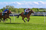 110526-Race 6-Betties Bay-1251