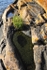 GeorgianBay11-014