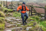 Langdale -1446