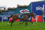 260725-Race 5-Beylerbeyi-7713