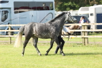 SBM_00759