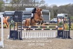 BPP_0788