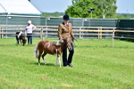 SBM_03585