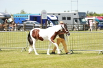 SBM_05485