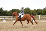 SBM_007550